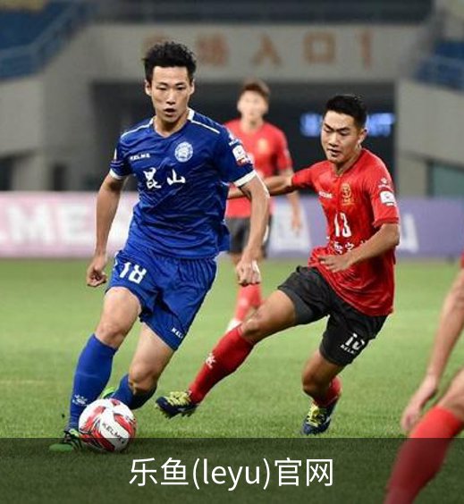 乐鱼(leyu)官网简介